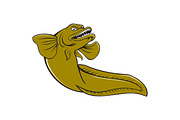 Eelpout Fish Angry Cartoon