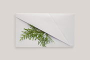 Envelope box mock up