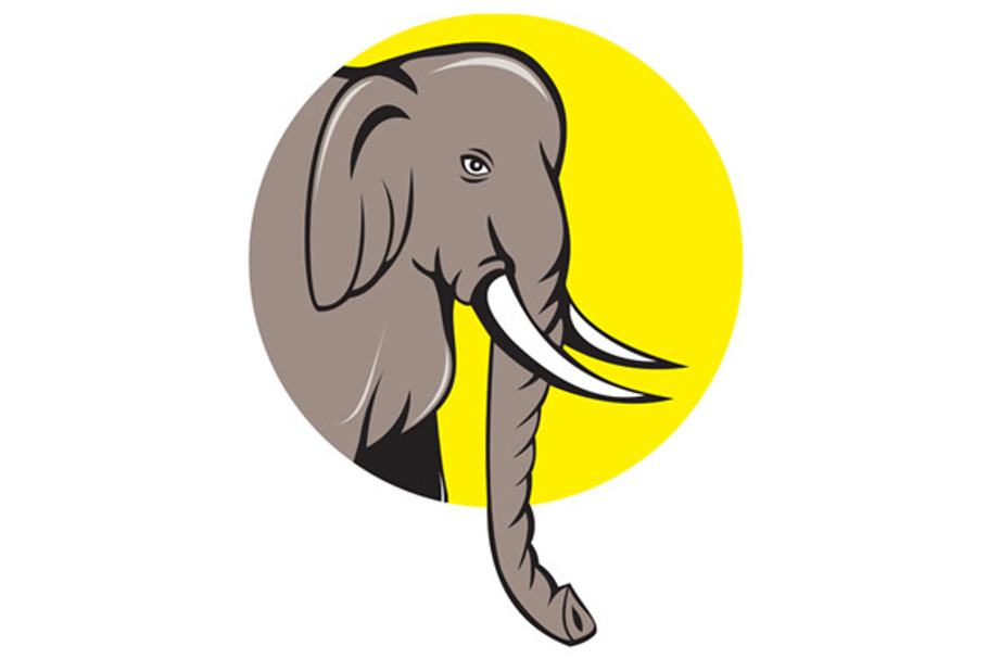 Indian Elephant Head Cartoon