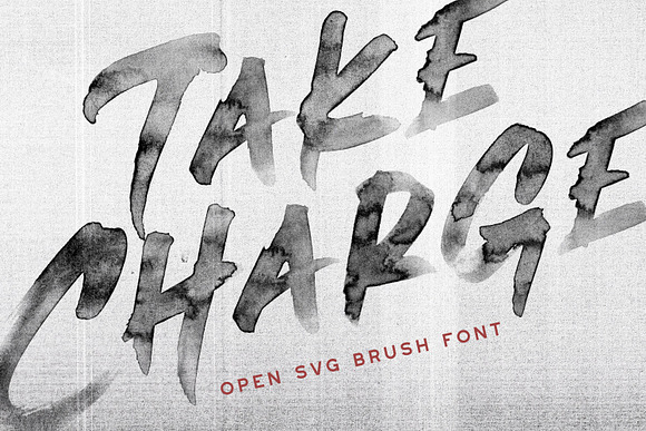 Take Charge - OpenType SVG Font in Professional Fonts - product preview 6