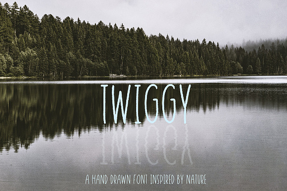 Twiggy in Sans-Serif Fonts - product preview 2