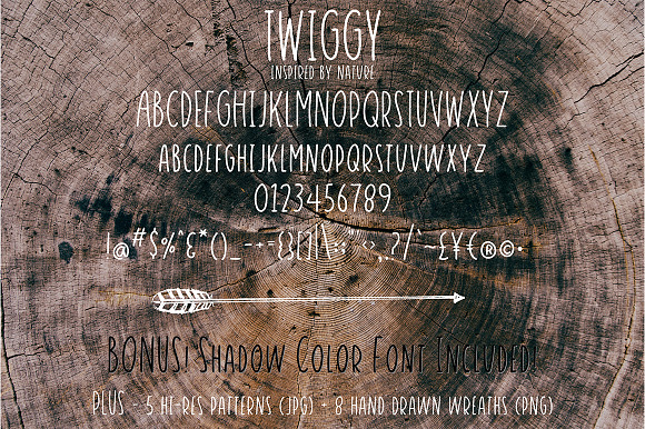 Twiggy in Sans-Serif Fonts - product preview 5