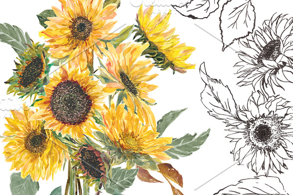 Watercolor Hand Painted Sunflower