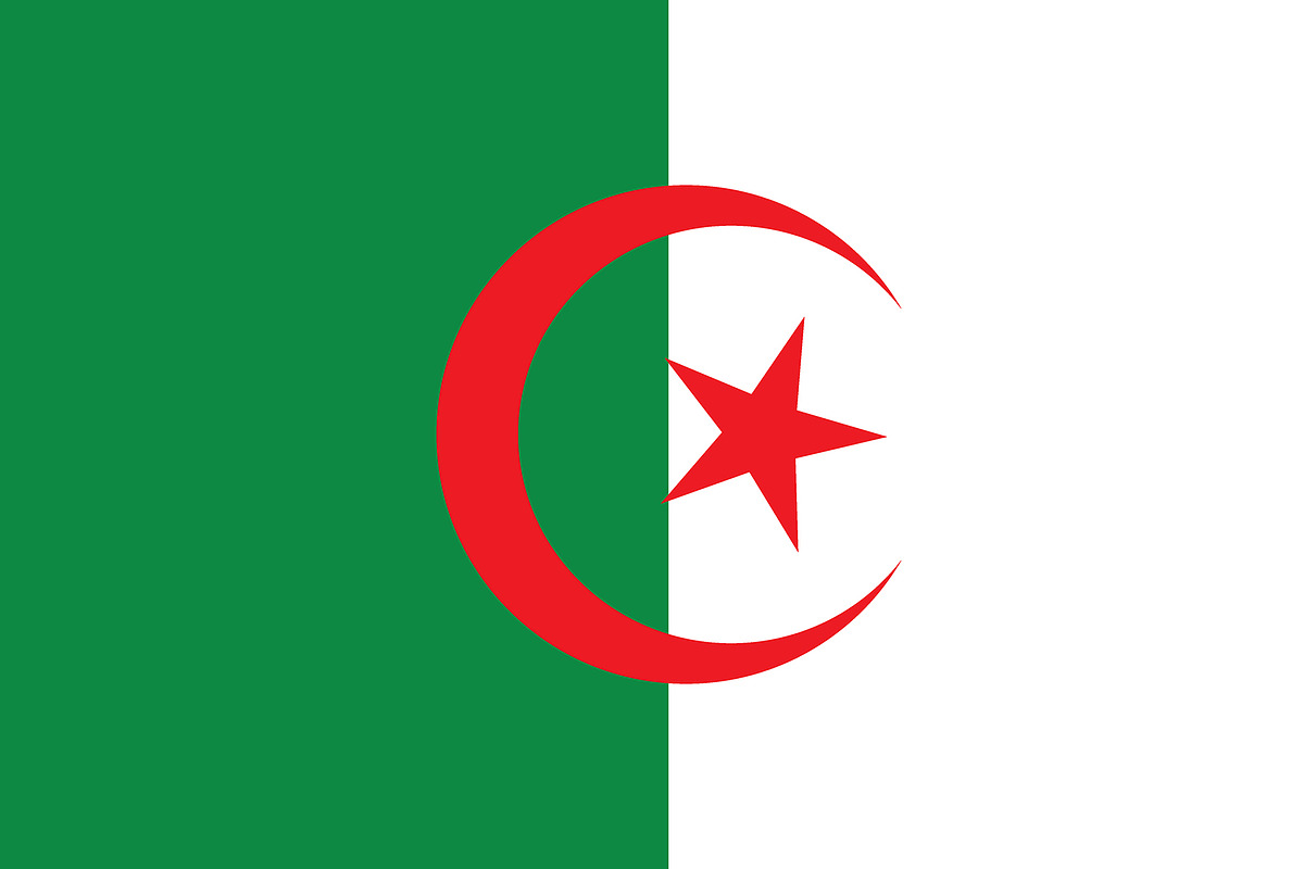 Vector of Algerian flag. in Graphics - product preview 8