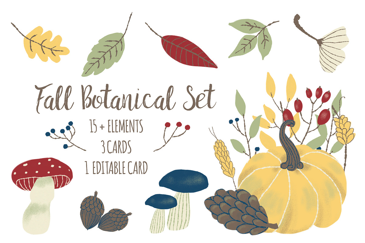 Fall Botanical Set in Illustrations - product preview 8