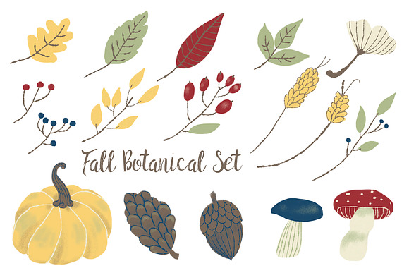 Fall Botanical Set in Illustrations - product preview 3