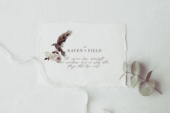 Woodland Ravens Field in Illustrations - product preview 16