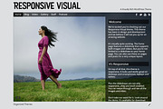Responsive Visual - WordPress Theme