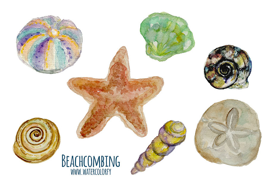 Watercolor Sea Shells