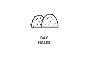 bay hales line icon, outline sign, linear symbol, vector, flat illustration