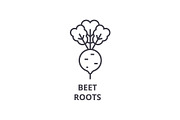 beet, roots line icon, outline sign, linear symbol, vector, flat illustration