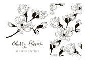 Cherry Blossom Design. Art Brush and Pattern. Vector