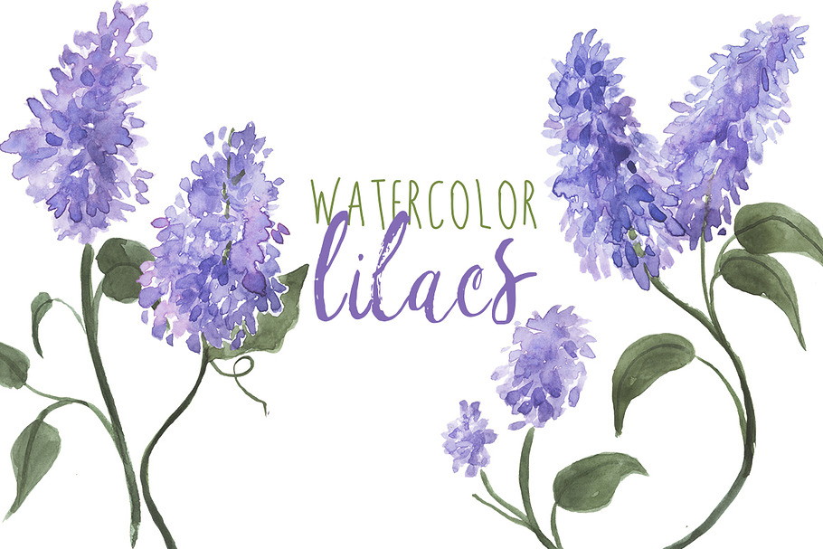 Watercolor Lilacs in Illustrations - product preview 8