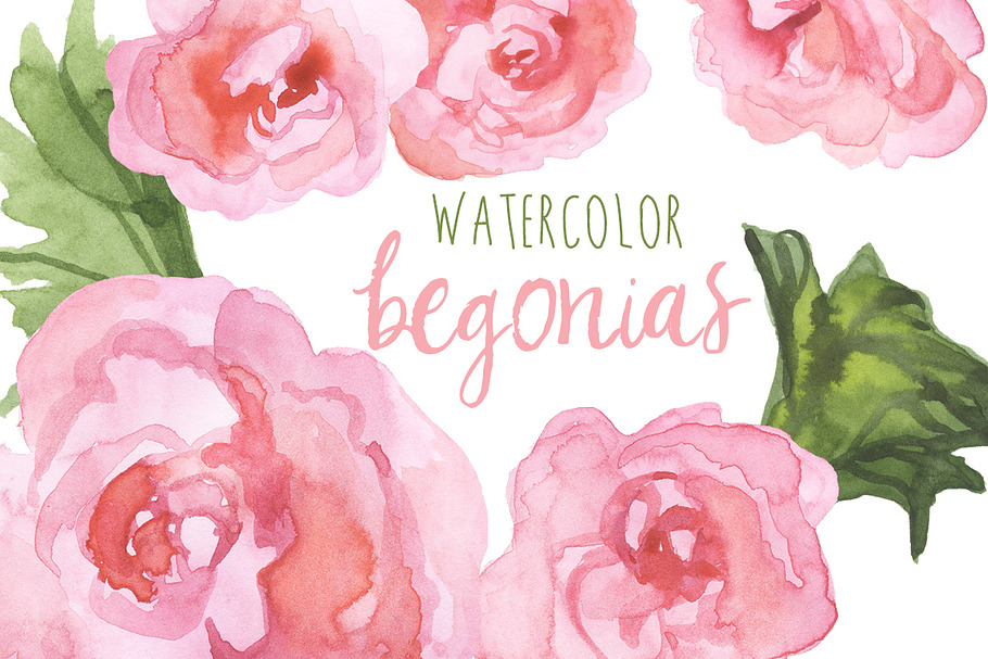 Watercolor Begonias Clip Art