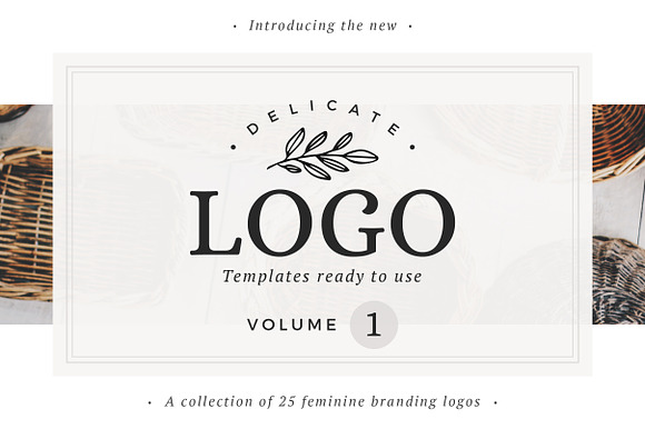 25 Delicate Feminine Logos - Vol 1 in Logo Templates - product preview 5