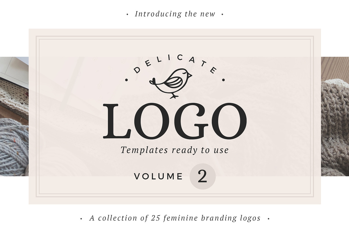 25 Delicate Feminine Logos - Vol 2 in Logo Templates - product preview 8