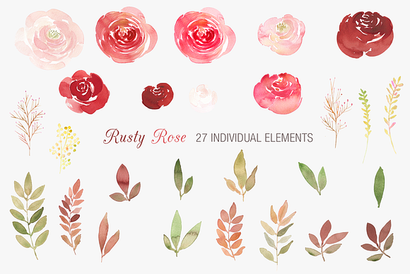 Rusty Rose Complete Design Set in Illustrations - product preview 5
