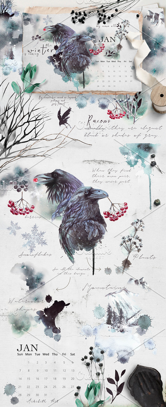 Ravens & birds vol.1 in Illustrations - product preview 14