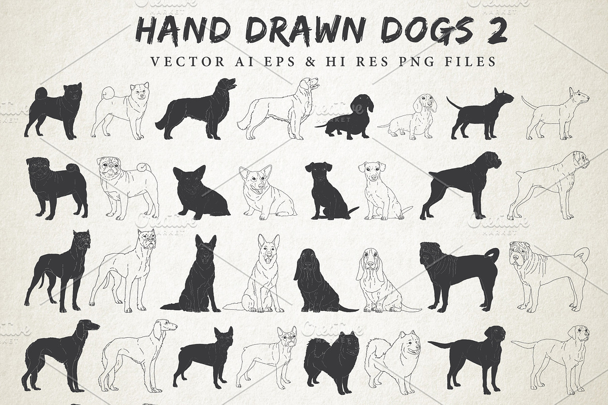 Hand Drawn Dog Breeds Vector 2 in Illustrations - product preview 8