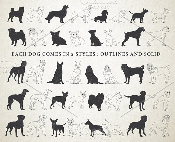 Hand Drawn Dog Breeds Vector 2 in Illustrations - product preview 1