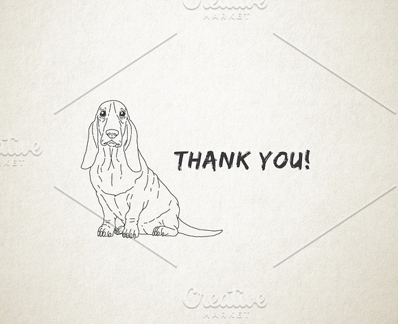 Hand Drawn Dog Breeds Vector 2 in Illustrations - product preview 2