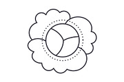 cauliflower vector line icon, sign, illustration on background, editable strokes