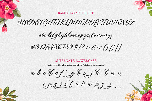 Husna Script Feminine Typeface in Script Fonts - product preview 10