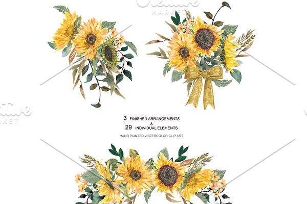 Hand Painted Sunflower Clip Art