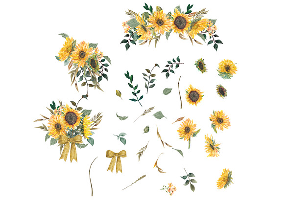 Hand Painted Sunflower Clip Art in Illustrations - product preview 1