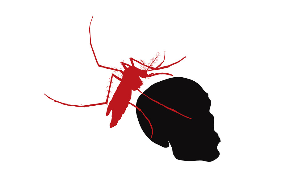 Red mosquito hold on human skull