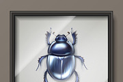 Dung beetle in frame