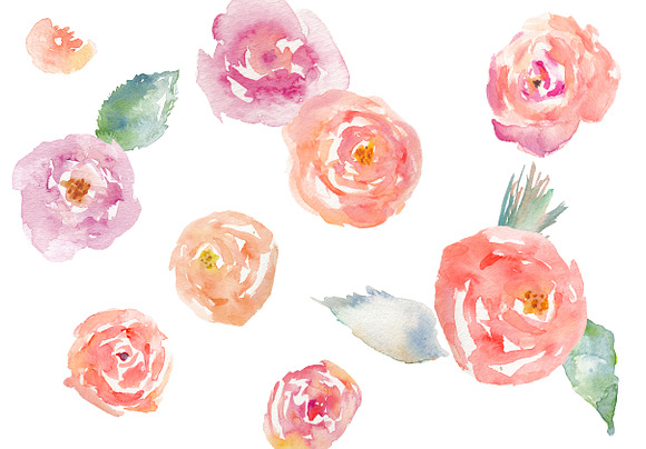 Garden Roses Watercolor Clip Art in Illustrations - product preview 1