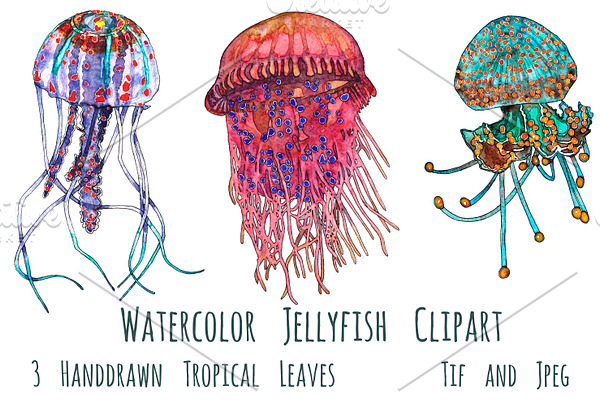 Watercolor jellyfish clipart