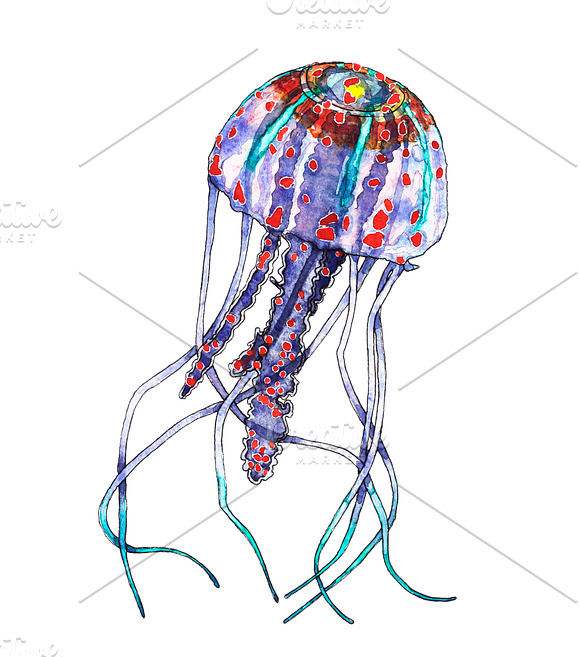 Watercolor jellyfish clipart in Illustrations - product preview 1