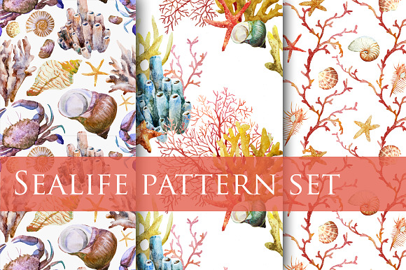 Watercolor sealife pattern set vol.1 in Patterns - product preview 4