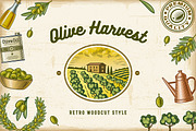 Vintage Colorful Olive Harvest Set