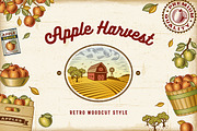 Vintage Colorful Apple Harvest Set