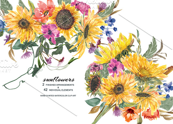 Hand Painted Watercolor Sunflower in Illustrations - product preview 1