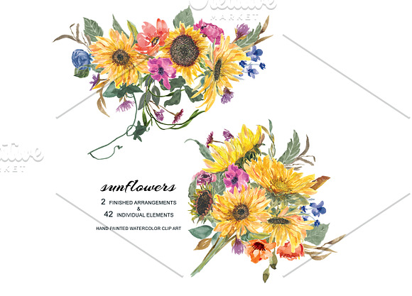 Hand Painted Watercolor Sunflower in Illustrations - product preview 2