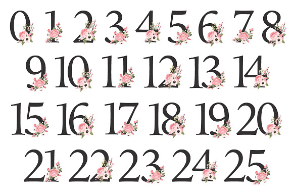 Soft Pink Floral Number Vectors in Illustrations - product preview 2