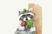 Illustration of a raccoon