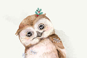 Illustration of a baby owl