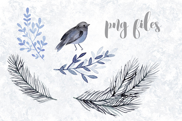 Watercolor winter bird and branches in Illustrations - product preview 1