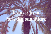 Textures from Park de Joan Miro