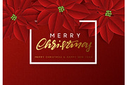 Merry Christmas, background decorated with beautiful red buds poinsettia flowers
