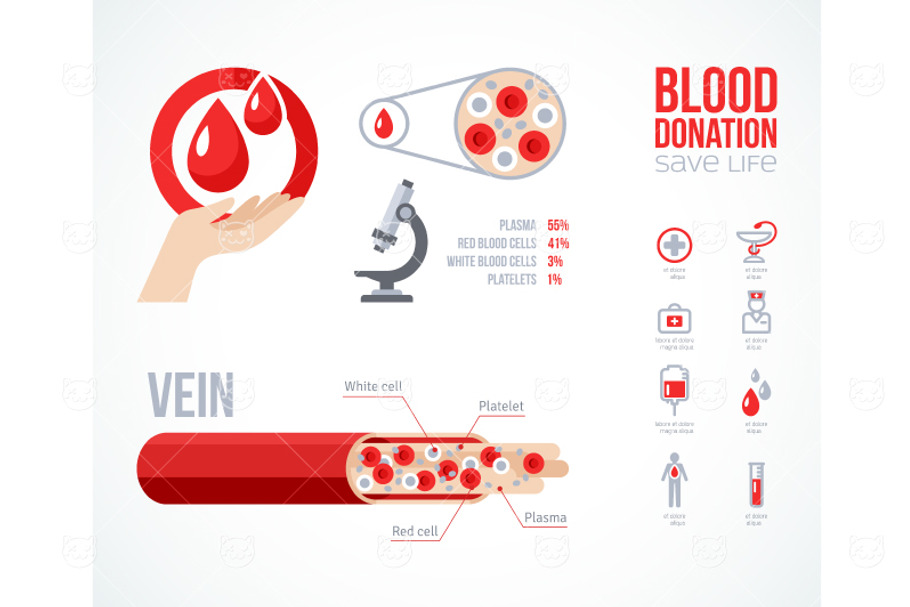 Blood Donation Set