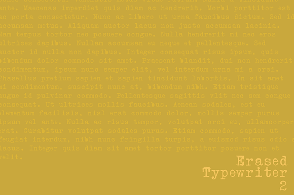 Erased Typewriter 2 in Serif Fonts - product preview 1