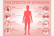 Estrogen effects Infographic