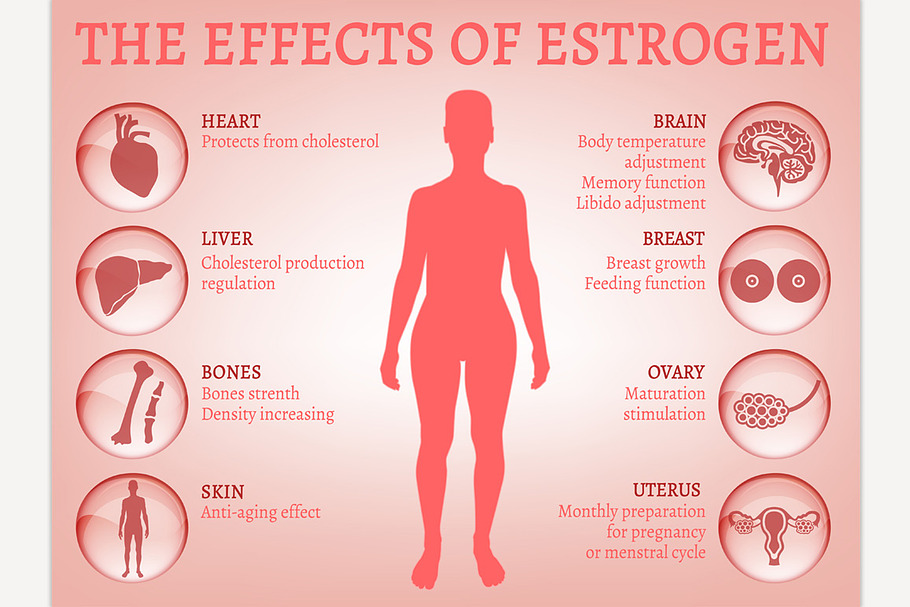 Estrogen effects Infographic