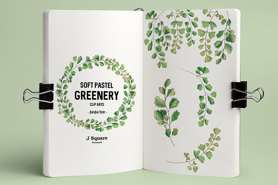 Pastel Greenerys-Adiantum